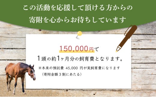 【引退競走馬 余生支援】北海道 岩内町 ホーストラスト北海道支援 1000円コース 引退馬 F21H-569