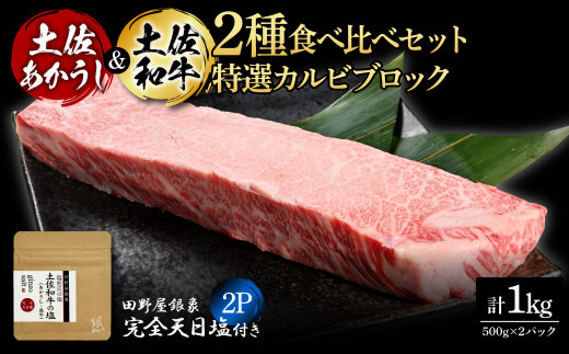 土佐あかうし＆土佐和牛2種食べ比べ 特選カルビブロック500g 計2P 田野屋銀象完全天日塩2P付 牛肉 肉 お肉 和牛 国産 牛 赤身 ヒレ カルビ ロース ブロック サーロイン 熟成肉