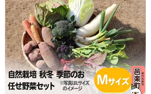 自然栽培 秋冬 季節のお任せ野菜セット Mサイズ 703046 - 群馬県邑楽町