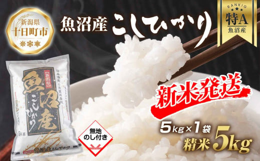 【令和6年産 新米予約】 無地熨斗 魚沼産 コシヒカリ 5kg 新米 農家のこだわり 新潟県 十日町市 お米 こめ 白米 コメ 食品 人気 おすすめ 送料無料 1024102 - 新潟県十日町市