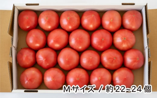トマト 詰め合わせ 桃太郎はるか Mサイズ(約22～24個) 約計4kg | とまと ﾄﾏﾄ 桃太郎 大玉トマト 産直 農家直送 マイルド 酸味が少ない 野菜 フレッシュ 健康 季節野菜 季節限定 国産 新鮮 野菜 北本産 関東 旬のトマト トマトファーム 埼玉県 北本市 1342197 - 埼玉県北本市
