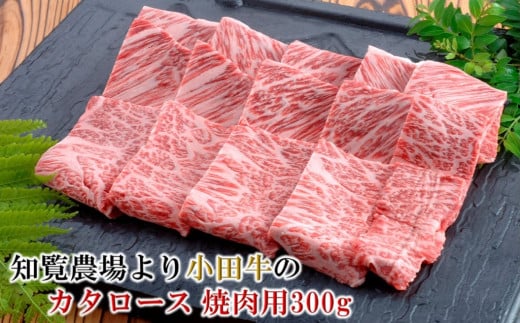 060-13 知覧農場より小田牛のカタロース焼肉用300g 231125 - 鹿児島県南九州市