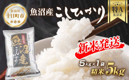 【令和6年産 新米予約】 魚沼産 コシヒカリ 5kg 新米 農家のこだわり 新潟県 十日町市 お米 こめ 白米 コメ 食品 人気 おすすめ 送料無料 1024104 - 新潟県十日町市