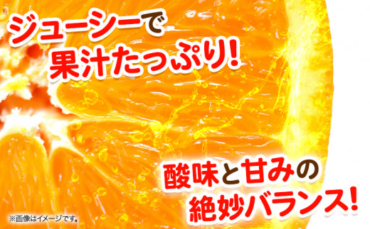 和歌山県日高川町のふるさと納税 麗紅 訳あり 麗紅 5kg れいこう みかん サイズ不選別 どの坂果樹園《2025年1月末-2月末頃出荷予定》和歌山県 日高川町 みかん 柑橘 フルーツ 果物 ミカン 柑橘 産地直送 送料無料