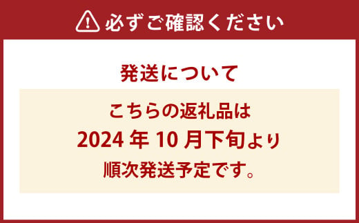 【訳あり】 紅はるか 家庭向け さつまいも 約12kg