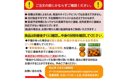 12月より発送】 特級品 愛果28号 2.3kg | みかん 柑橘 愛果28号 みかん あいか 果物 フルーツ 松山市 愛媛県 田村農園 -  愛媛県松山市｜ふるさとチョイス - ふるさと納税サイト