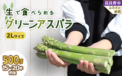 ＜先行受付＞生で食べられるアスパラ　北海道富良野産 グリーンアスパラガス 2Lサイズ 500g【1400594】
