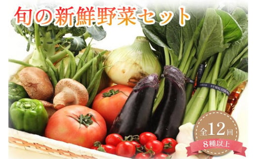 定期便 旬の新鮮野菜詰め合わせ 8種以上 全12回【野菜セット】 1340067 - 和歌山県印南町