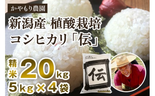 新潟産コシヒカリ「伝」白米真空パック 精米20kg（5kg×4）南麻布の高級料亭で提供される極上米 かやもり農園 246756 - 新潟県加茂市