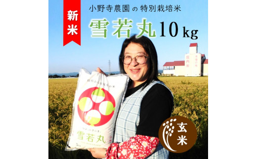 【令和6年産・玄米】小野寺農園の特別栽培米雪若丸10kg