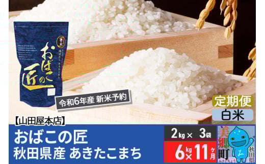 【白米】＜令和6年産 新米予約＞《定期便11ヶ月》おばこの匠 秋田県産あきたこまち 6kg×11回 計66kg 11か月 11ヵ月 11カ月 11ケ月 秋田こまち お米 469606 - 秋田県美郷町