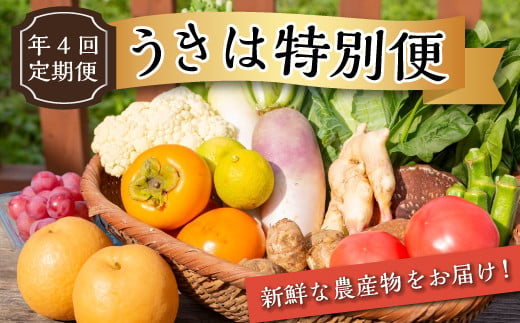 SA24【年4回定期便】うきは特別便（新鮮な農作物・フルーツ野菜など）