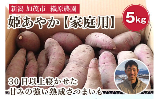 新潟県 加茂市産 姫あやか 【家庭用】 5kg 《順次発送》 人気 さつまいも 訳あり 家庭用 さつまいも 熟成 さつまいも しっとり甘みの強い さつまいも 焼き芋 焼芋 スイートポテト 加茂市 織原農園 1133704 - 新潟県加茂市