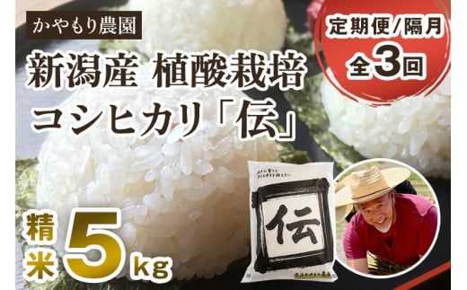 【定期便3回隔月お届け】新潟産コシヒカリ「伝」白米真空パック 精米5kg 南麻布の高級料亭で提供される極上米 かやもり農園 定期便 962439 - 新潟県加茂市