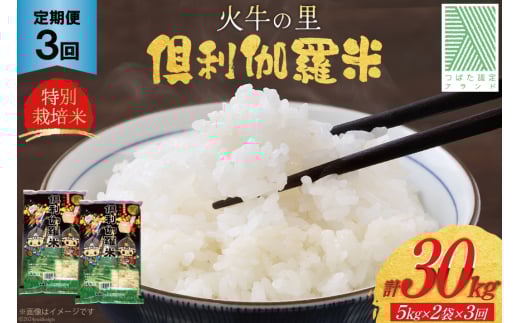 米 3回 定期便 火牛の里 倶利伽羅米 (特別栽培米) 10kg (5kg×2袋)×3回 総計30kg [JA石川かほく 石川県 津幡町 28ab0008] お米 白米 ご飯 ごはん コメ こめ 家庭用 おこめ 3ヶ月 3か月 精米 651904 - 石川県津幡町