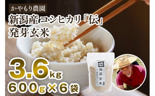 【令和5年産米】[発芽玄米] 新潟産コシヒカリ「伝」発芽玄米3.6kg（600g×6袋）かやもり農園 910148 - 新潟県加茂市