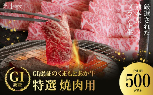 厳選されたGI認証　くまもとあか牛　特選焼肉用　500g(産山村)