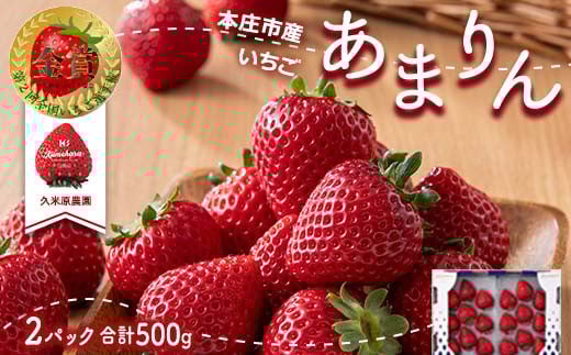 ＜先行予約＞あまりん（250g × 2パック）【2025年2月発送】 本庄市産 久米原農園 新品種 いちご イチゴ 苺 ストロベリー 果物 くだもの フルーツ デザート 埼玉県 本庄市 関東 F5K-389