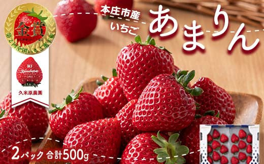 ＜先行予約＞あまりん（250g × 2パック）【2025年2月発送】 本庄市産 久米原農園 新品種 いちご イチゴ 苺 ストロベリー 果物 くだもの フルーツ デザート 埼玉県 本庄市 関東 F5K-389 1225086 - 埼玉県本庄市