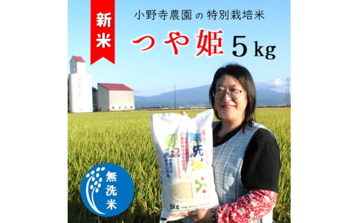 【令和6年産・精米】小野寺農園の【無洗米】つや姫5kg