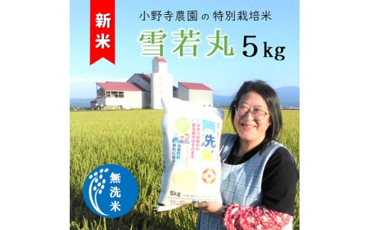 【令和6年産・精米】小野寺農園の【無洗米】雪若丸5kg