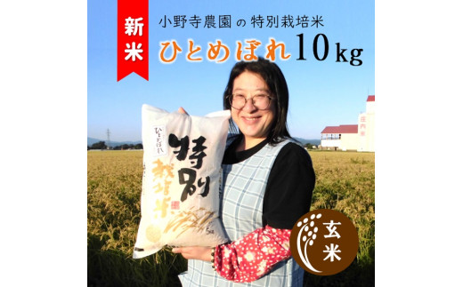 【令和6年産・玄米】小野寺農園の特別栽培米ひとめぼれ10kg