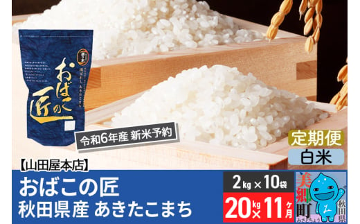 【白米】＜令和6年産 新米予約＞《定期便11ヶ月》おばこの匠 秋田県産あきたこまち 20kg×11回 計220kg 11か月 11ヵ月 11カ月 11ケ月 秋田こまち お米 469642 - 秋田県美郷町