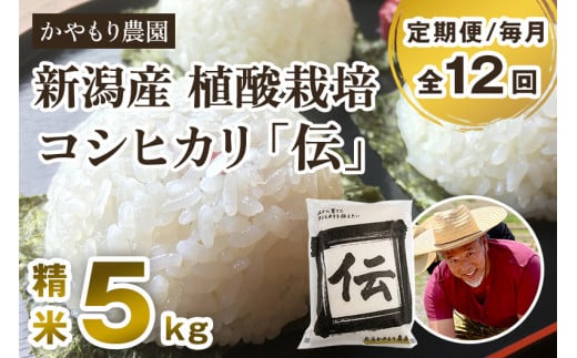 【定期便12ヶ月毎月お届け】新潟産コシヒカリ「伝」白米真空パック 精米5kg 南麻布の高級料亭で提供される極上米 かやもり農園 定期便 962424 - 新潟県加茂市