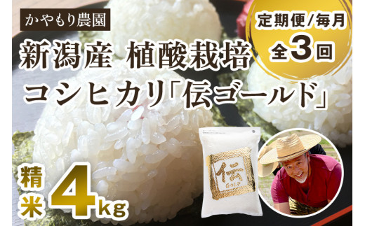 【定期便3回毎月お届け】新潟産コシヒカリ「伝ゴールド」白米真空パック 精米4kg（2kg×2）南麻布の高級料亭で提供される極上米 かやもり農園 定期便 965775 - 新潟県加茂市