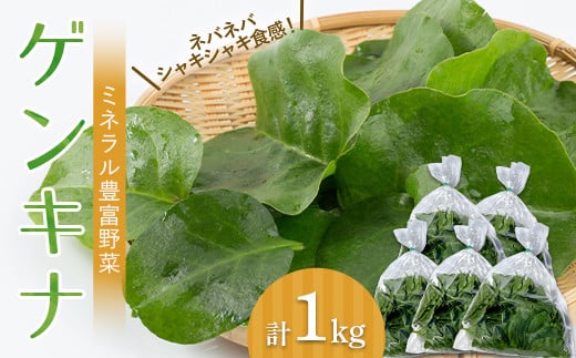 【ミネラル豊富野菜】 ゲンキナ 1kg F20C-948 1391317 - 福島県伊達市
