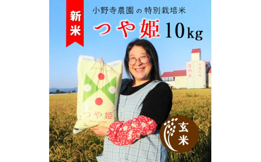 【令和6年産・玄米】小野寺農園の特別栽培米つや姫10kg
