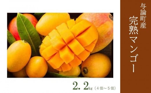 【2024年発送】完熟マンゴー2.2kg（4～5個)☆南国ヨロン島より【先行予約】