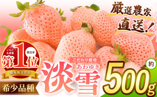 イチゴ 生産量 西 日本一 ‼ 厳選農家直送 いちご 淡雪 約 500g | フルーツ 果物 くだもの 苺 いちご 白 いちご 淡雪 熊本県 玉名市 1340607 - 熊本県玉名市