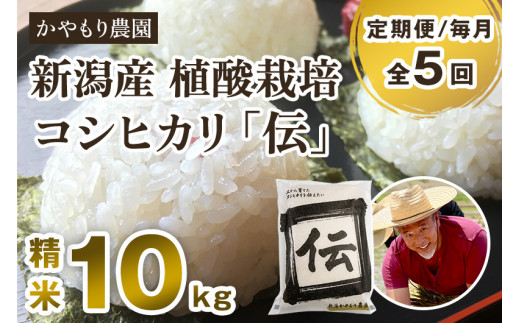 【定期便5ヶ月毎月お届け】新潟産コシヒカリ「伝」白米真空パック 精米10kg（5kg×2）南麻布の高級料亭で提供される極上米 かやもり農園 定期便 962677 - 新潟県加茂市