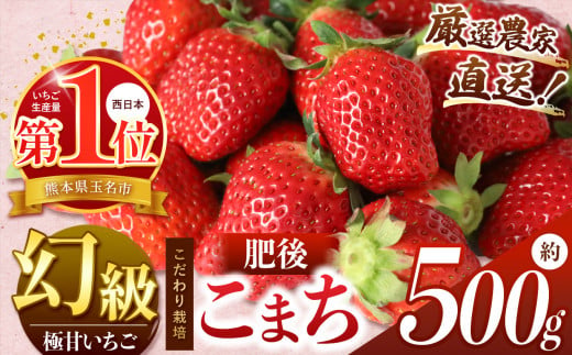 イチゴ 生産量 西 日本一 ‼ 厳選農家直送 いちご 肥後こまち 約 500g | フルーツ 果物 くだもの 苺 いちご 熊本県 玉名市 1340608 - 熊本県玉名市