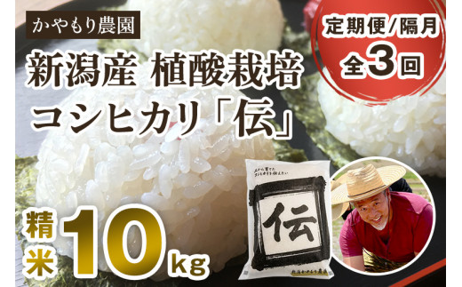 【定期便3回隔月お届け】新潟産コシヒカリ「伝」 真空パック 精米 10kg（5kg×2）南麻布の高級料亭で提供される極上米 かやもり農園 新潟県 加茂市産 白米 米 お米 定期便 963019 - 新潟県加茂市