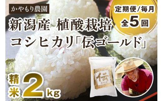 【定期便5ヶ月毎月お届け】新潟産コシヒカリ「伝ゴールド」白米真空パック 精米2kg 南麻布の高級料亭で提供される極上米 かやもり農園 定期便 965693 - 新潟県加茂市