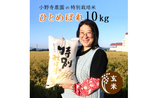 【令和5年産・玄米】小野寺農園の特別栽培米ひとめぼれ10kg
