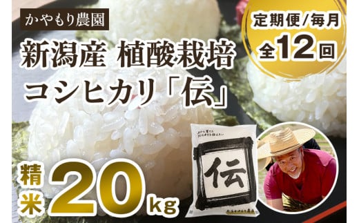 【定期便12ヶ月毎月お届け】新潟産コシヒカリ「伝」白米真空パック 精米20kg（5kg×4）南麻布の高級料亭で提供される極上米 かやもり農園 定期便 963080 - 新潟県加茂市