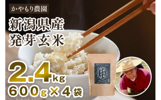 新潟産 発芽玄米2.4kg（600g×4袋）