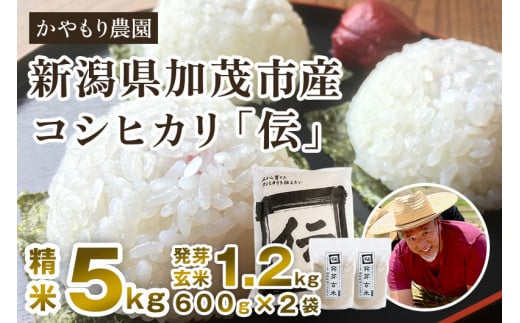 新潟産コシヒカリ「伝」精米5kgと発芽玄米1.2kg（600g×2）セット かやもり農園