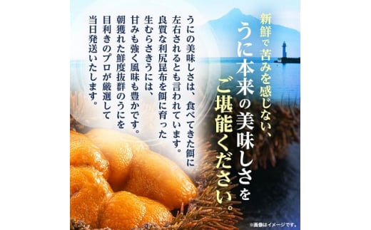 厳選PREMIUM＞美味しいウニは昆布の名産地にあり!生むらさきうに120g【1221080】 - 北海道稚内市｜ふるさとチョイス - ふるさと納税 サイト