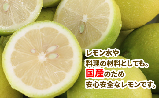 国産レモン 檸檬 レモン 訳あり グリーンレモン 5kg マル南フルーツ remon 愛媛県産レモン 先行予約 わけあり れもん 檸檬 レモン果汁  酸味 高級 希少 安心 果物 くだもの ビタミン 健康 フルーツ 訳アリ 訳あり品 柑橘 産地直送 数量限定 国産 愛媛 宇和島 ...