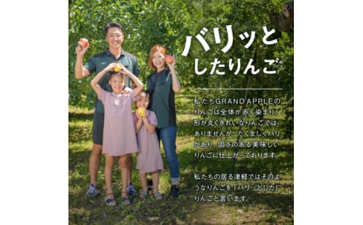 青森県藤崎町のふるさと納税 〈令和6年産先行予約〉葉とらずサンジョナゴールド　特A約3キロ【1494644】