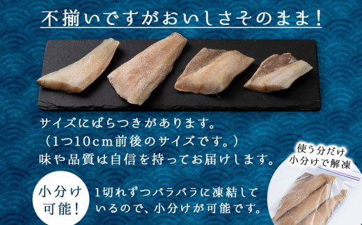 北海道天塩町のふるさと納税 北海道産 真ほっけ 切り身 1.5kg 冷凍 塩味 味付き おかず お弁当 ホッケ 魚 海鮮