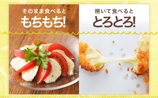KUMAMOTO モッツァレラ 3個セット 300g（100g×3個）