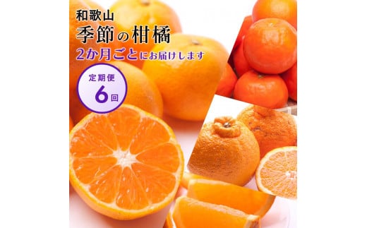 【偶数月 全6回 】 柑橘定期便A【IKE13】 1341288 - 和歌山県高野町