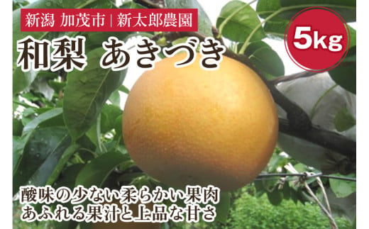 和梨 あきづき 5kg（9～14玉） 《9月下旬から順次発送》 果物 フルーツ 梨 和梨 デザート 加茂市 新太郎農園 1342014 - 新潟県加茂市