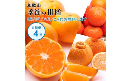 【 2・4・10・12月 全4回 】 柑橘定期便B【IKE6】 1341291 - 和歌山県高野町