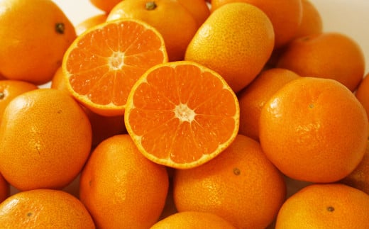 にしうわみかんL〜Sサイズ (約5kg) みかん 蜜柑 柑橘 果物 くだもの フルーツ (518) [2024年11月下旬〜2024年12月下旬発送予定]